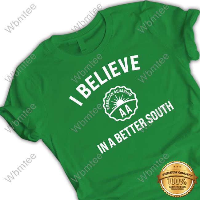 I Believe In A Better South T-Shirt I Believe In A Better South T-Shirt