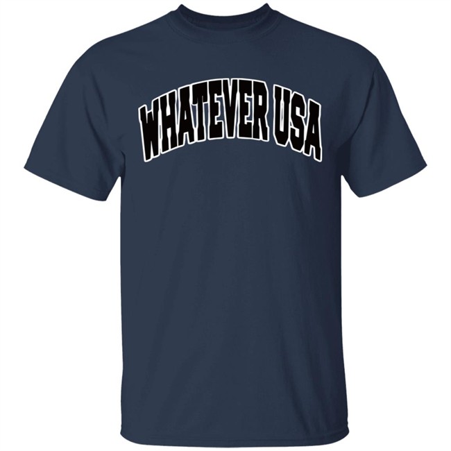 WHATEVER USA Hoodie Allen Shirt Gray Hooded Sweatshirt WHATEVER USA Hoodie Allen Shirt Gray Hooded Sweatshirt