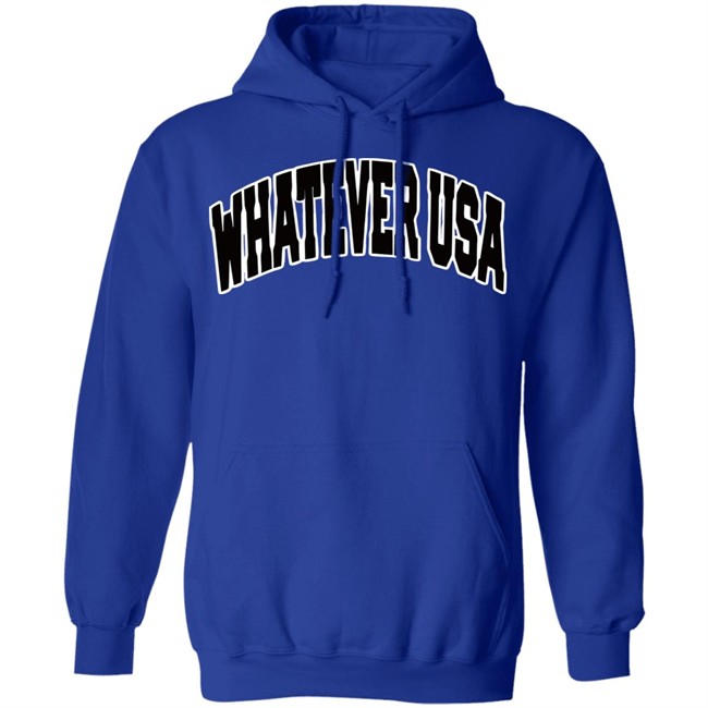 WHATEVER USA Hoodie Allen Shirt Gray Hooded Sweatshirt WHATEVER USA Hoodie Allen Shirt Gray Hooded Sweatshirt