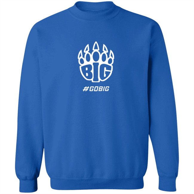 Big Origins Hoodie Big Origins Hoodie