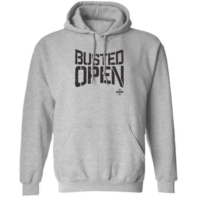 Hang - Busted Open Merch Busted Open Logo Hoodie
