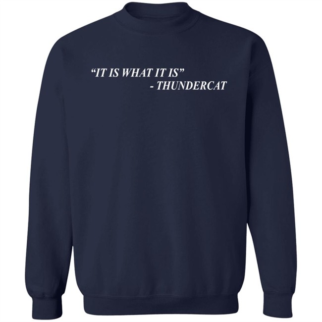 Thundercat Merch It Is What It Is Tee Shirt Thundercat Merch It Is What It Is Tee Shirt