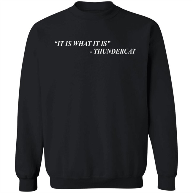 Thundercat Merch It Is What It Is Tee Shirt Thundercat Merch It Is What It Is Tee Shirt