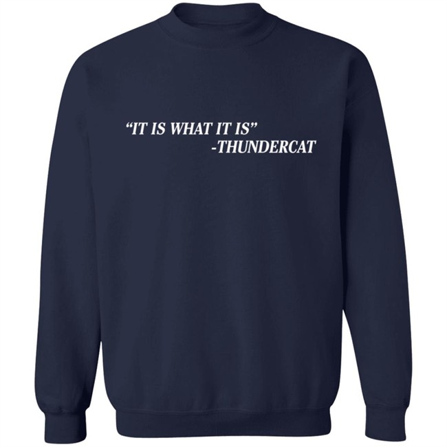 Thundercat Merch Brainfeeder It Is What It Is Thundercat Shirt Thundercat Merch Brainfeeder It Is What It Is Thundercat Shirt