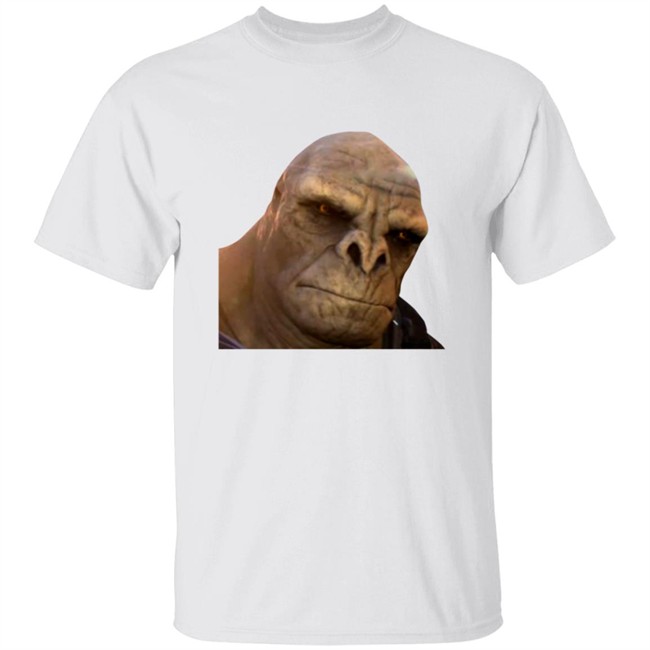 Halo Infinite Meme Tee Shirt Halo Infinite Meme Tee Shirt