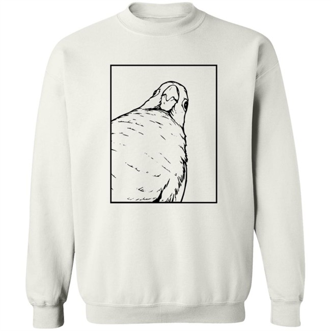 Jaiden Animations Merch Stare Tee Shirt Jaiden Animations Merch Stare Tee Shirt