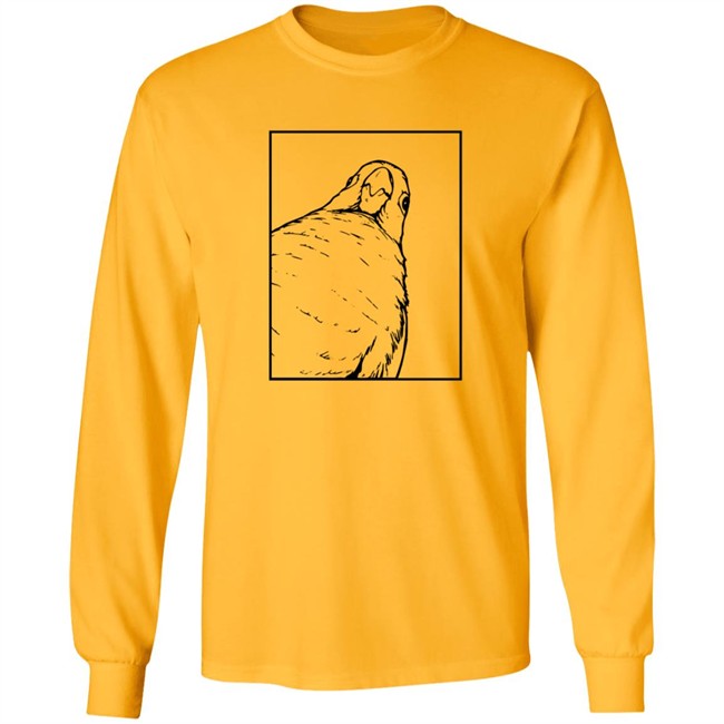 Jaiden Animations Merch Stare Tee Shirt Jaiden Animations Merch Stare Tee Shirt