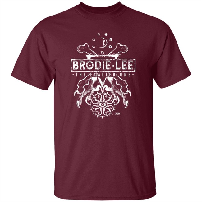 Brodie Lee Enlightenment Revealed Shirt Brodie Lee Enlightenment Revealed Shirt