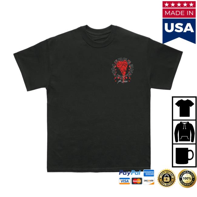 The Used Band Merch Shop Free Palestine Tee