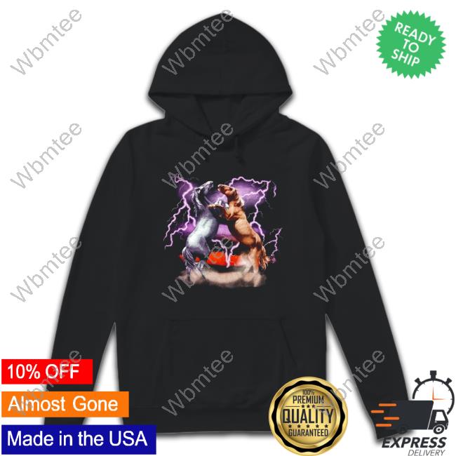 Closeup of Salem’s | 1993 Horses Thunder & Lightning Graphic Pullover Shirt