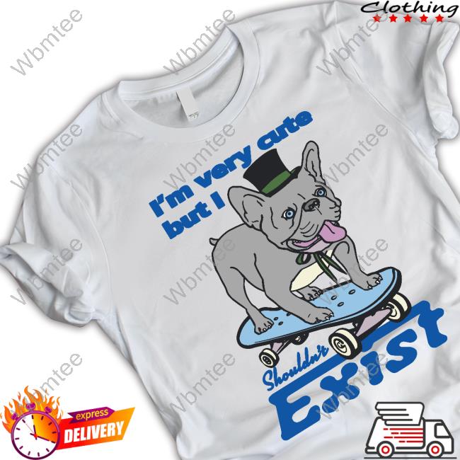 Shirts That Go Hard I'm Very Cute But I Shouldn't Exist Hoodie