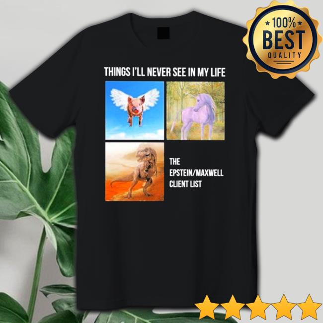 Things I’ll Never See In My Life The Epstein Maxwell Client List Sweatshirts