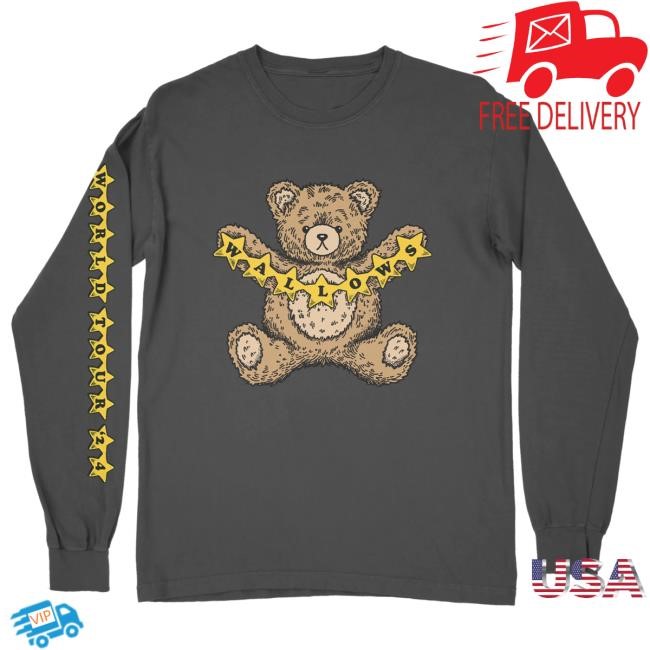 Wallows Teddy Bear Tour Long Sleeve Tee – Wallows Store