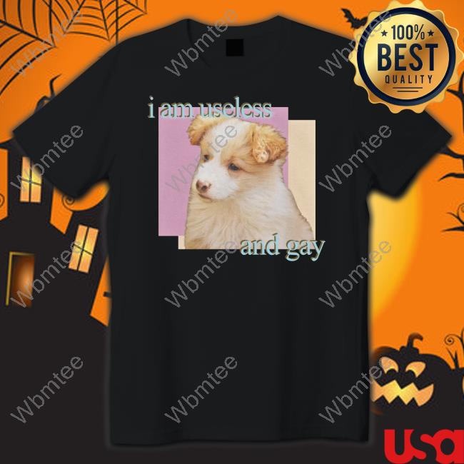 Shirts That Go Hard Dogecore Merch I Am Useless And Gay Shirt