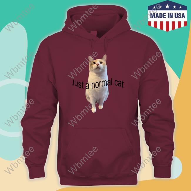 Just A Normal Cat Sweatshirts Panko A Cat’S Mom
