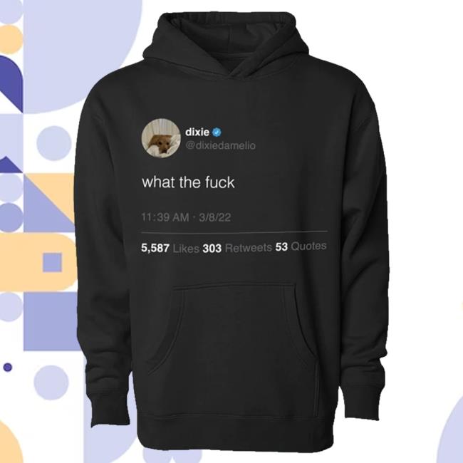 Official Dixie D'amelio Merch Shop Wtf Tweet Hoody