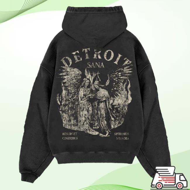 Official Sana Detroit Red Wings Sana Detroit Angels Seal Popover Hoodie - Vintage Black