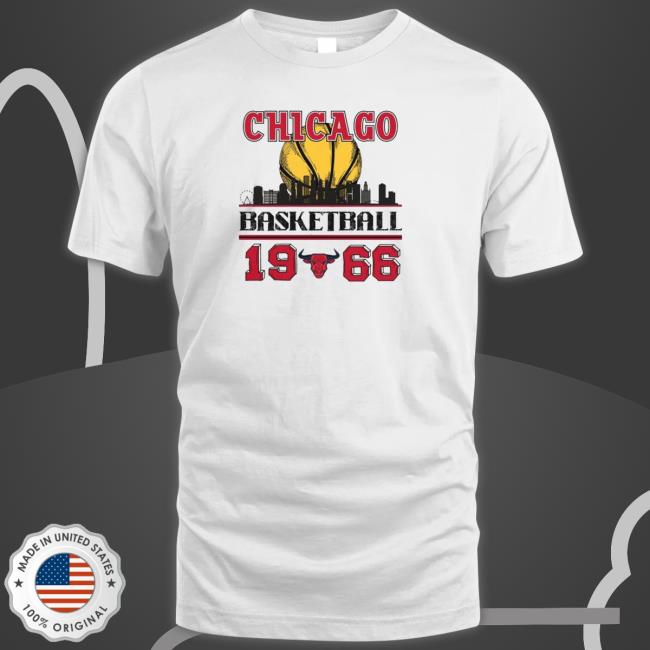 Official Chicago bulls basketball 1966 skyline Hoodie