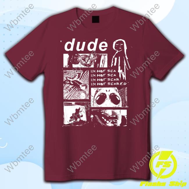 Official Vanoss Dude Im Not Scared Tee