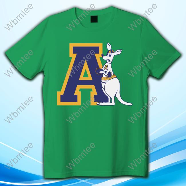 Homefield Gray Akron Zips Vintage Zippy Tee Shirt