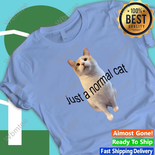 Just A Normal Cat Crewneck Sweatshirt Panko A Cat’S Mom Just A Normal Cat Hoodie