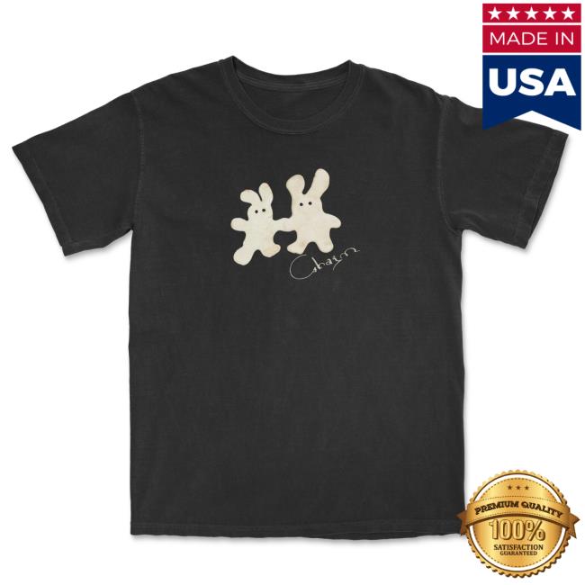 Clairo Merch Charm Bunny Tee Shirt