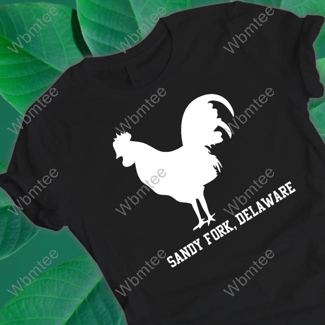 Sandy Fork Delaware Tee Shirt