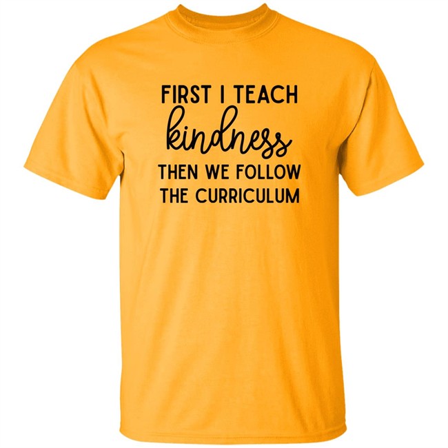 Habosha Janel First I Teach Kindness Then We Follow The Curriculum Sweatshirt Habosha Janel First I Teach Kindness Then We Follow The Curriculum Sweatshirt