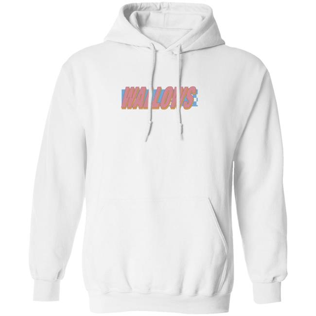 Wallows Music Wallows Warped Logo Hoodie