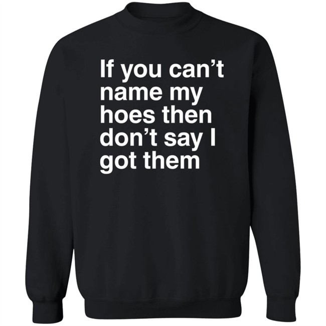 If You Can't Name My Hoes Then Don't Say I Got Them Shirt Hoodville If You Can't Name My Hoes Then Don't Say I Got Them Shirt Hoodville
