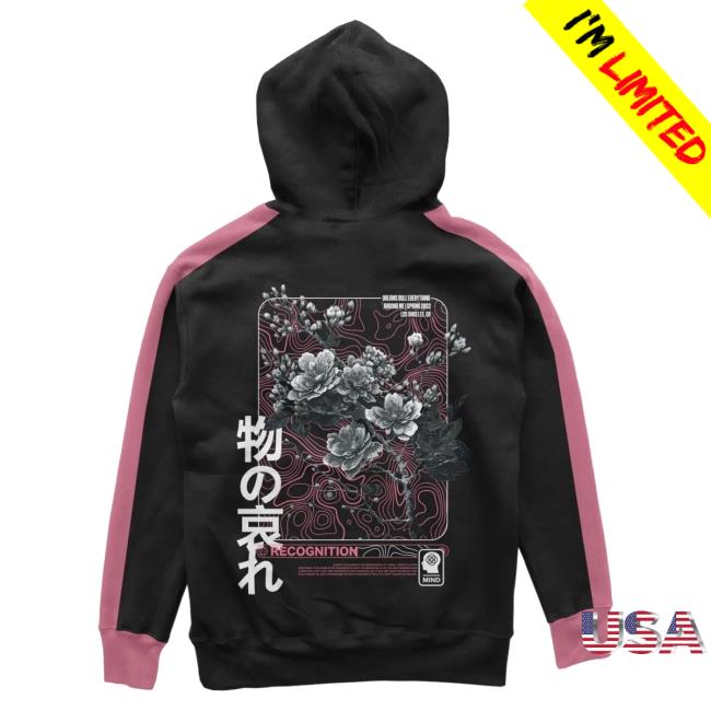 Official Dream Clothing HQ Mono No Aware Color Block Pullover Hoodie