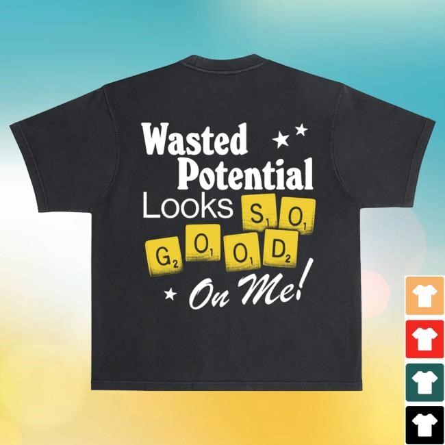 Official The Band Camino Merch Store Wasted Potential Top Shirt