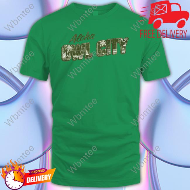 Owl City Merch Aloha Owl City Sweatshirt Coco Moon