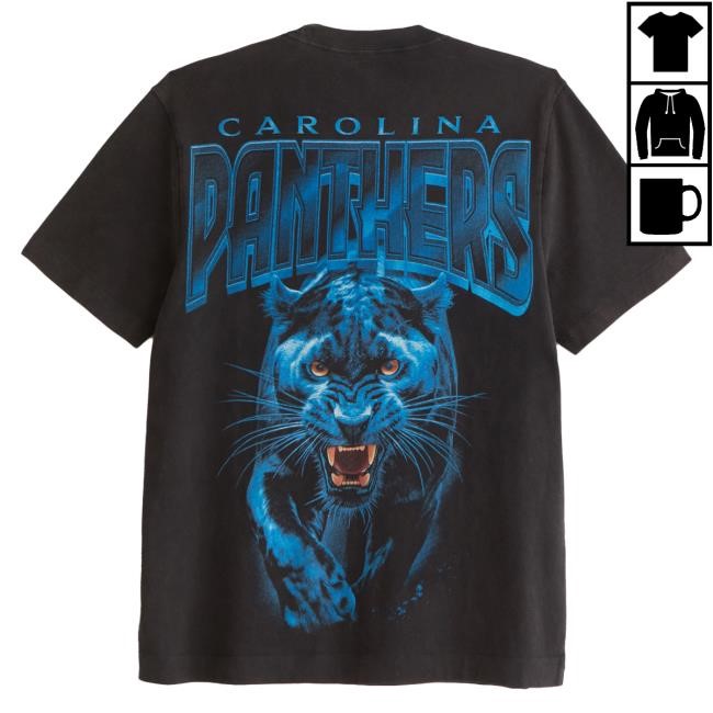 Official Abercrombie And Fitch Apparel Clothing Merch Carolina Panthers Graphic Tshirt Abercrombie Store Shop
