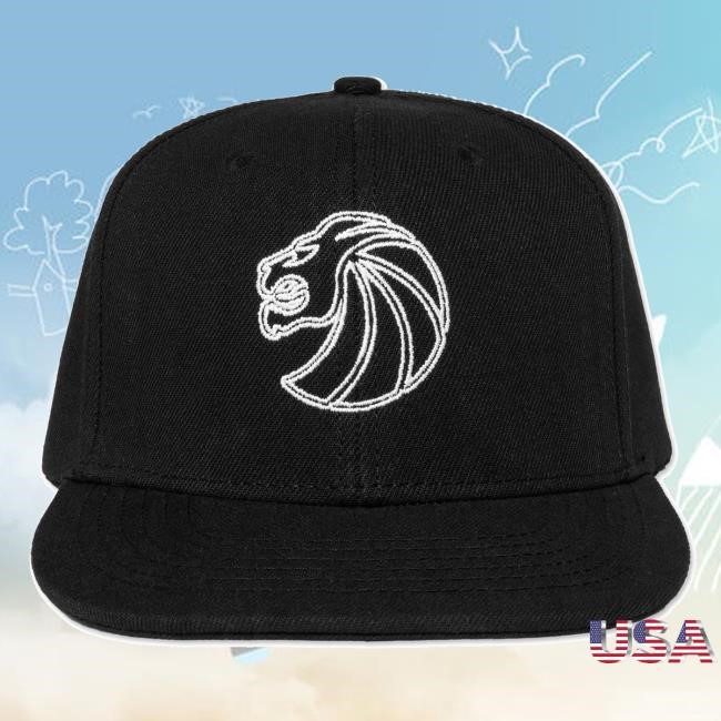 Seven Lions Official Merch Store Black Seven Lions Vintage Cap Seven Lions Clothing Sevenlions
