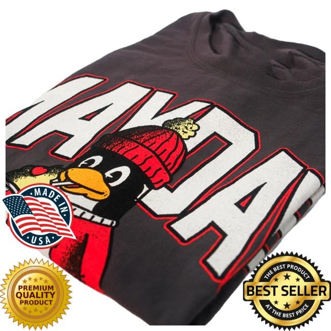 Official Mayday Parade Cherry Lemonade - Railroad Grey T Shirt